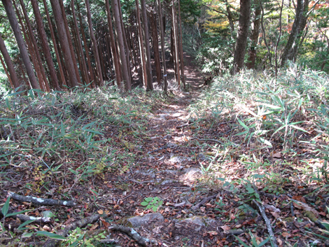 20171102hike (159)